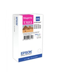 Epson C13T70134010