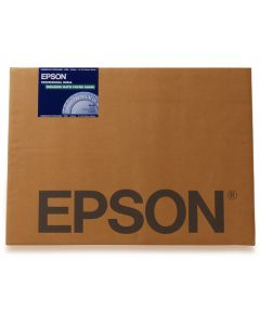 Epson C13S042110