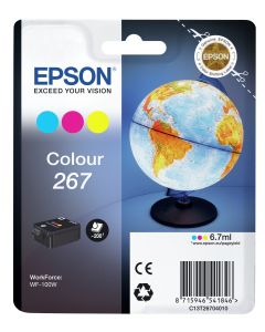 Epson C13T26704010