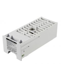 Epson C13T699700
