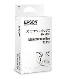 Epson C13T295000