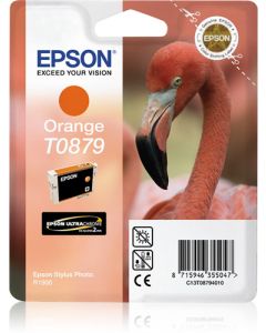 C13T08794010