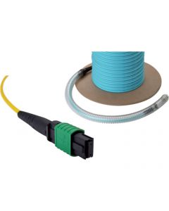 EXL OS2 12C MTP TRUNK CBL 25M