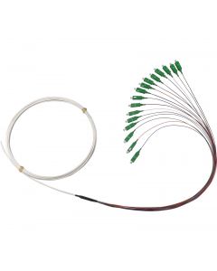 16F SCA CORRIDOR CABLE WH 75M