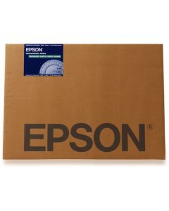 Epson C13S042111