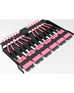 HD 12 PORT OM4 MTP PASSTHROUGH