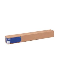 Epson C13S041894