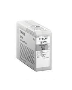 Epson C13T850900